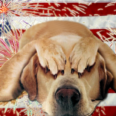 Keeping Pets Safe and Calm Over the Fourth of July