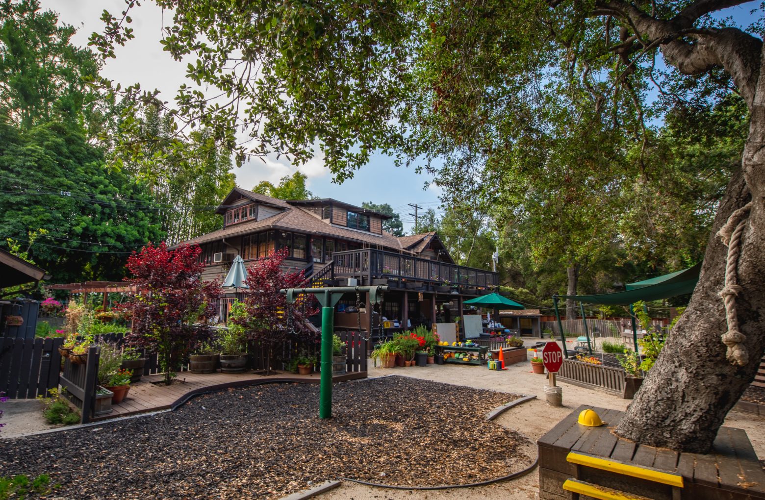 Guest Essay Dr. Judy Krause Pacific Oaks Children’s School, Nearly