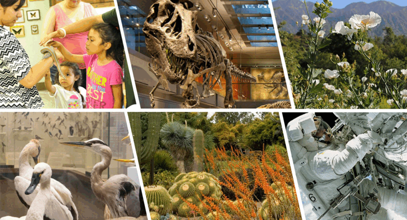 SoCal Museums Announces the Return of the MUSEUMS FREE-FOR-ALL