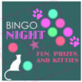 Kitty Bingo Event to Blend Feline Fun