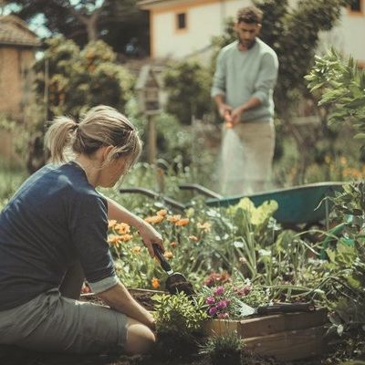 4 Tips: Zing Up Your Menus with a Tasty Summer Garnish Garden
