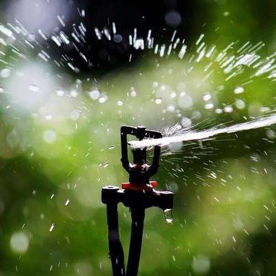 Summer Watering Schedule in Effect