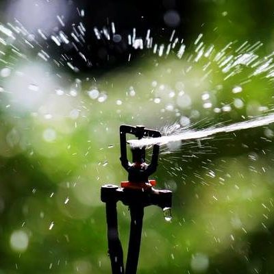 Summer Watering Schedule in Effect