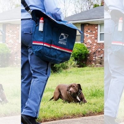 Letter Carriers Need Your Help to Prevent the Bite