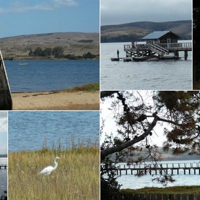 Placid, Peaceful, and Picturesque Tomales Bay is a Hidden Pearl