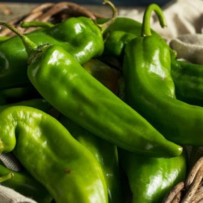 Hatch Chile Season Returns, But Pandemic Precludes Popular Roasting Event in Pasadena