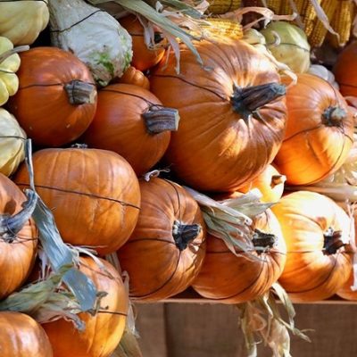 Pumpkins Galore as Descanso Gardens Set to Begin Halloween Festivities Oct. 1