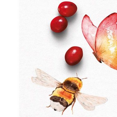 How You Can Help Pollinators Flourish