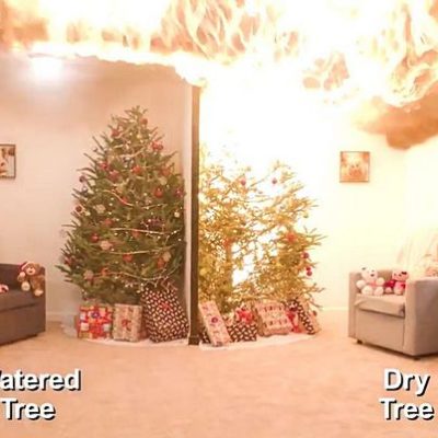 Tips to Keep Your Christmas Tree Safe From Catching Fire
