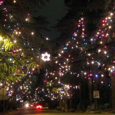 Enjoy the Holidays! Christmas Tree Lane Returns with New App-Enhanced Experience