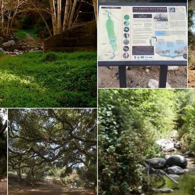 Enjoy That Rose Parade Weather! Here Are a Half Dozen Pasadena Area Hikes