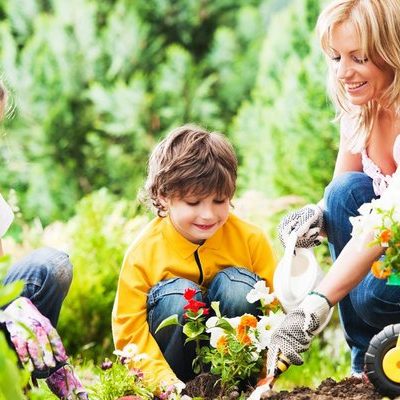 3 Homeowners Insurance Tips to Know Before Planting Flowers or Vegetables