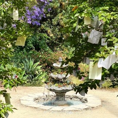 Explore Pasadena’s Truly Wonderful Arlington Garden