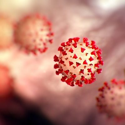 Focus on Wellness: Coronavirus Deranges the Immune System in Complex and Deadly Ways