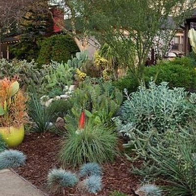 Gardeners: Metropolitan Water District is Launching Classes on Planting, Care of Water-Saving Landscapes