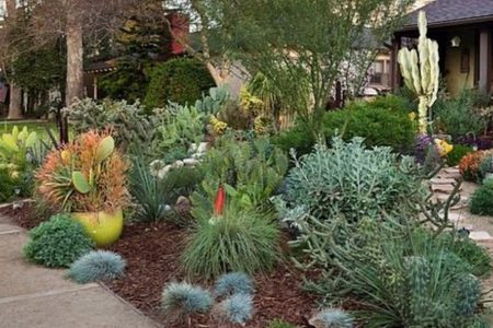Gardeners: Metropolitan Water District is Launching Classes on Planting, Care of Water-Saving Landscapes