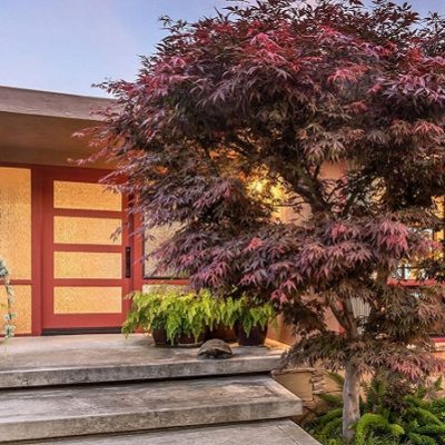 A Beautiful Updated Mid-Century Modern View Home Located on Cielo Place, Arcadia