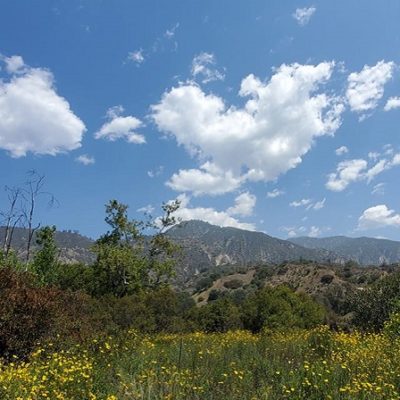 Guided Eaton Canyon Nature Walk Set For Saturday