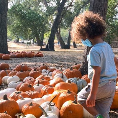 “Carved” to Brings Pumpkin-Filled Family Fun to Descanso Gardens in October