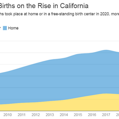 Home Births Gain Popularity in ‘Baby Bust’ Decade