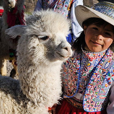 Pasadena Public Library Celebrates Hispanic Heritage Month With Alpaca Fiber Weaving Activity
