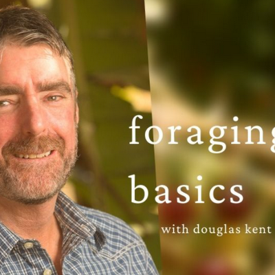 Learn About Foraging Basics With Expert Douglas Kent on ‘Pasadena Grows’