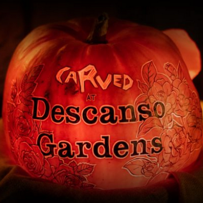 Descanso Gardens Does Halloween With Its Unique Take, As It Presents “Carved”