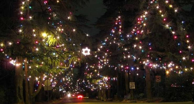 What Could Be More Holiday Season Than Christmas Tree Lane?