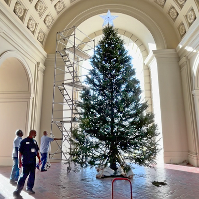 Making the City Hall Holiday Tree Happen