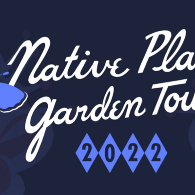 Native Plant Garden Tour Blooms Today with “Metropolis in Metamorphosis”