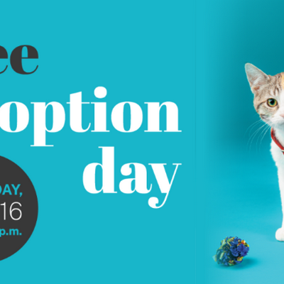 Just What You Need! Adopt a New Lovable Pet During Free Adoption Day This Saturday