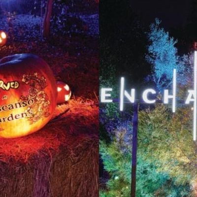 Descanso Gardens’ “Carved” and “Enchanted” Tickets On Sale