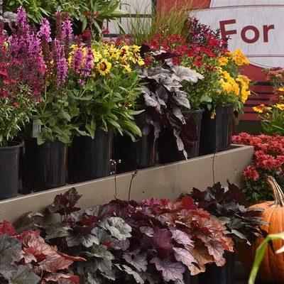 3 Easy Ways to Enjoy Living Color in your Outdoor Space this Fall