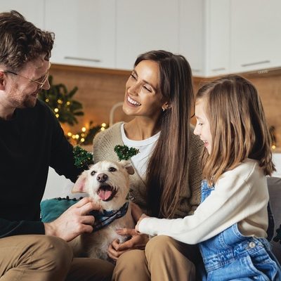 How to Keep Pets Happy and Healthy this Holiday Season