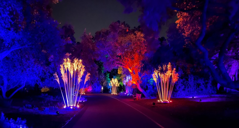 LIGHTSCAPE, Royal Botanical Gardens Victoria – Event Review