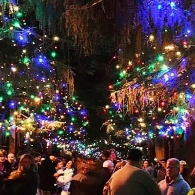 After Two Year Hiatus, Altadena’s Famed Christmas Tree Lane Lights Up Again Starting This Weekend
