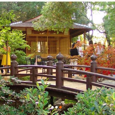 Storrier Stearns Japanese Garden’s Pasadena Festival of Tea Returns for Mother’s Day