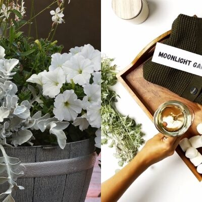 What Kind of Gardener are You? Explore These 4 Fall Trends to Find Out