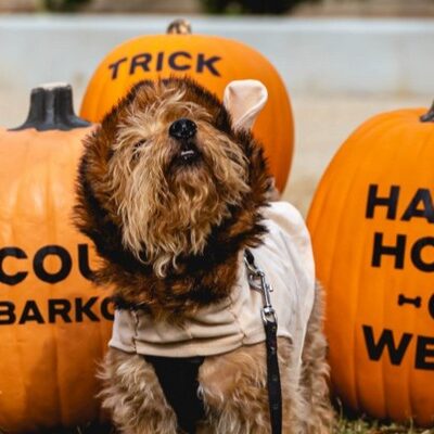 Playhouse Village Invites Dogs (and Their Owners) to Don Spooky Costumes and Howl at ‘Bark in the Park’