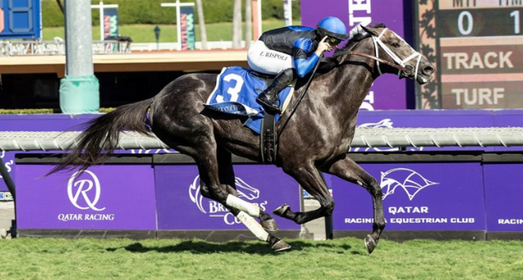 Breeders’ Cup World Championships Conclude Saturday With Nine Races at Santa Anita