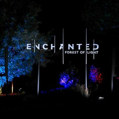 Enchanted Forest of Light Returns to Descanso Gardens for the Holiday Season