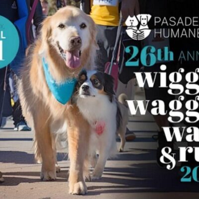 Paws for Celebration: Pasadena’s Wiggle Waggle Walk & Run Champions Animal Welfare