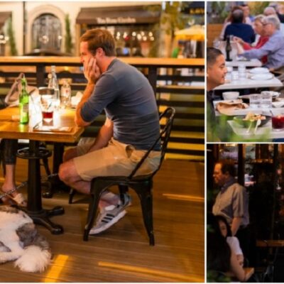 Summertime Al Fresco Dining Expands in Old Pasadena with New Platforms and Dog-Friendly Options