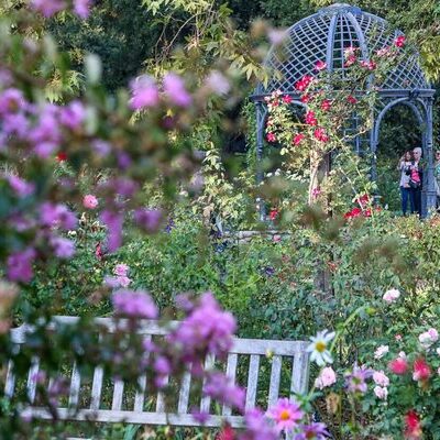 Local Gardens Host Exclusive End-of-Summer Celebration With Live Music and Artisan Market