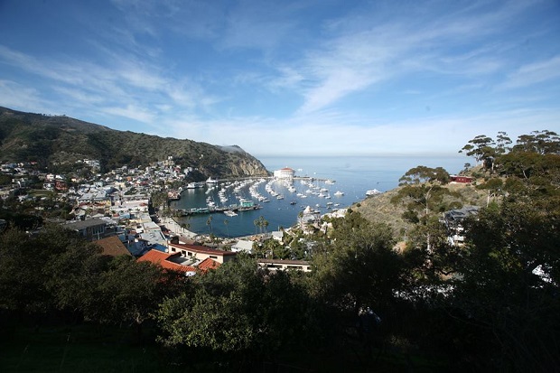 Catalina Island Welcomes Summer with Events, Openings and Savings